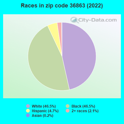 Races in zip code 36863 (2022)