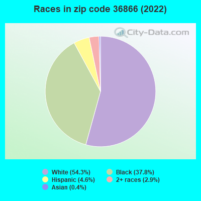 Races in zip code 36866 (2022)