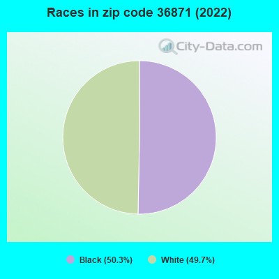 Races in zip code 36871 (2022)