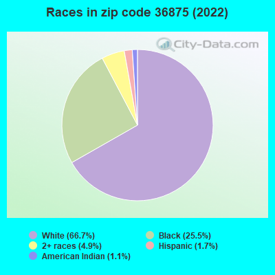 Races in zip code 36875 (2022)