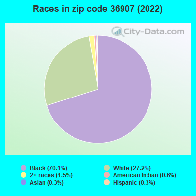 Races in zip code 36907 (2022)