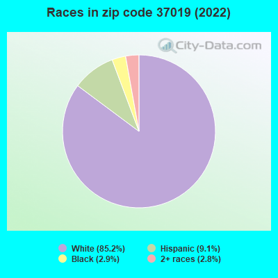 Races in zip code 37019 (2022)