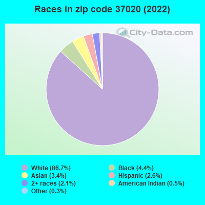 Races in zip code 37020 (2022)