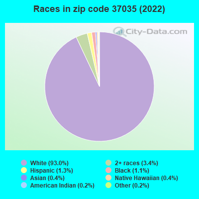 Races in zip code 37035 (2022)