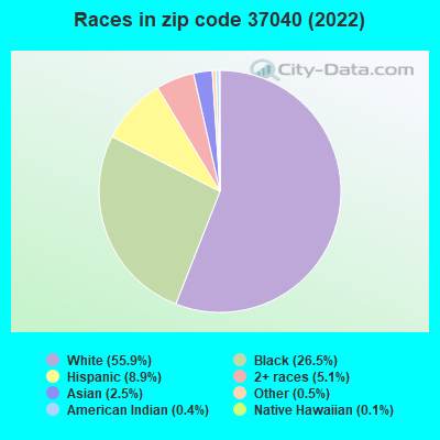 Races in zip code 37040 (2022)