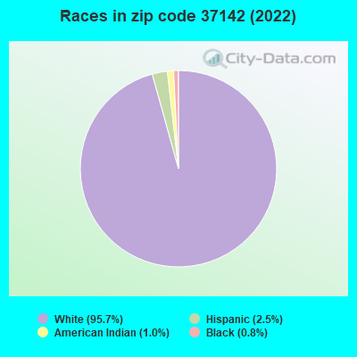 Races in zip code 37142 (2022)