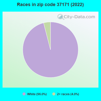 Races in zip code 37171 (2022)