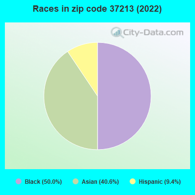 Races in zip code 37213 (2022)