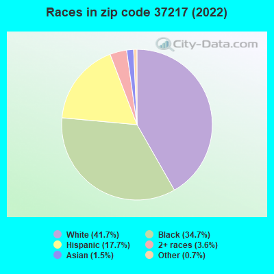 Races in zip code 37217 (2022)