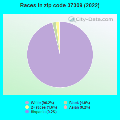 Races in zip code 37309 (2022)