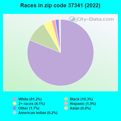 Races in zip code 37341 (2022)