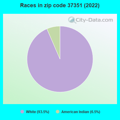 Races in zip code 37351 (2022)