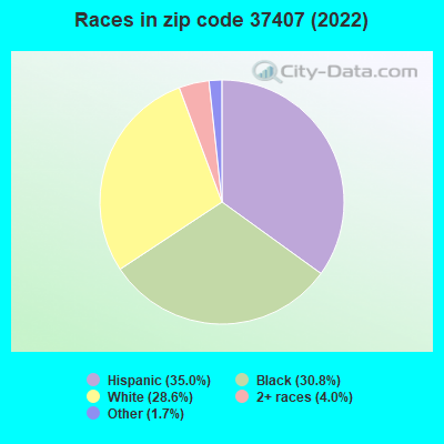 Races in zip code 37407 (2022)