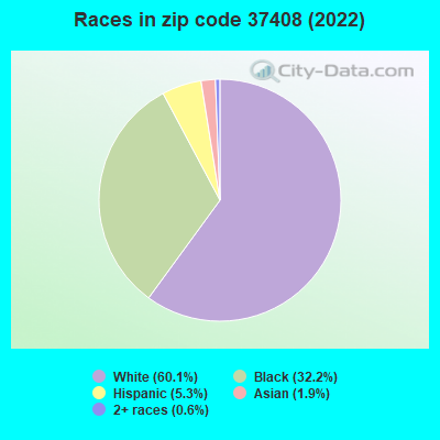 Races in zip code 37408 (2022)