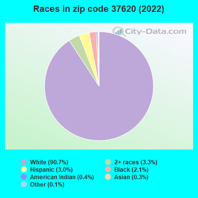 Races in zip code 37620 (2022)