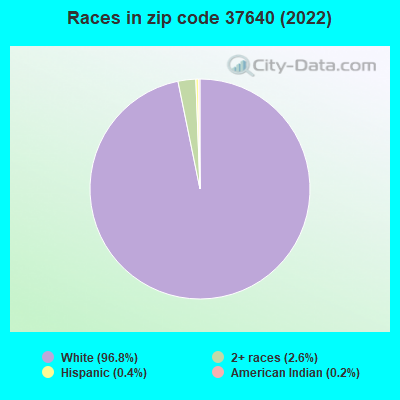 Races in zip code 37640 (2022)