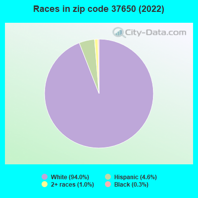 Races in zip code 37650 (2022)