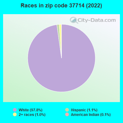 Races in zip code 37714 (2022)
