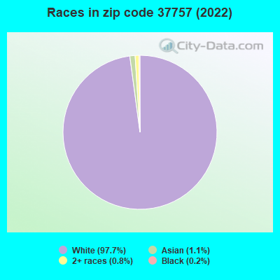 Races in zip code 37757 (2022)