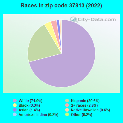 Races in zip code 37813 (2022)