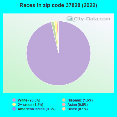 Races in zip code 37828 (2022)