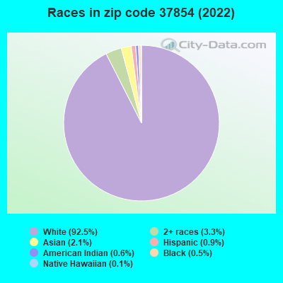 Races in zip code 37854 (2022)