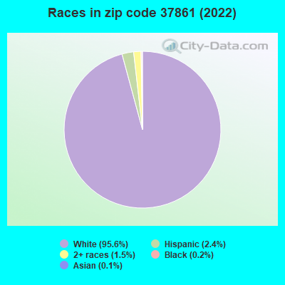 Races in zip code 37861 (2022)