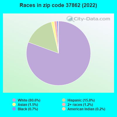 Races in zip code 37862 (2022)