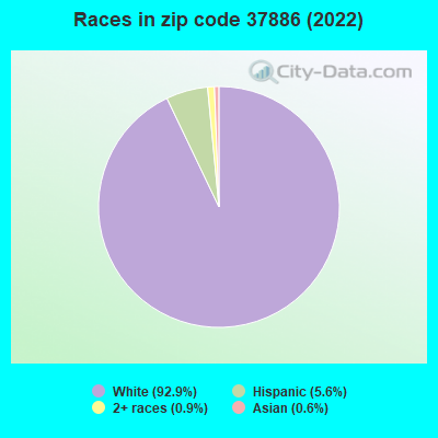 Races in zip code 37886 (2022)