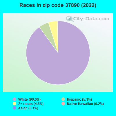 Races in zip code 37890 (2022)