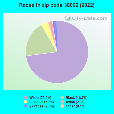 Races in zip code 38002 (2022)