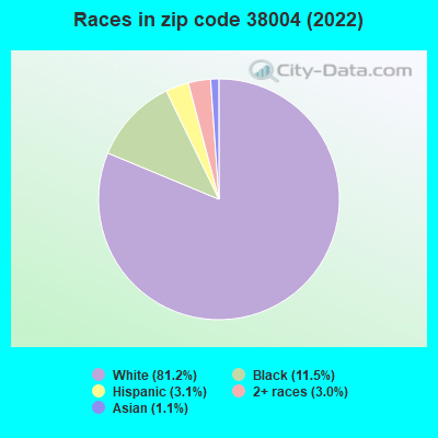 Races in zip code 38004 (2022)