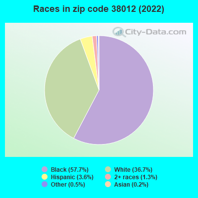 Races in zip code 38012 (2022)