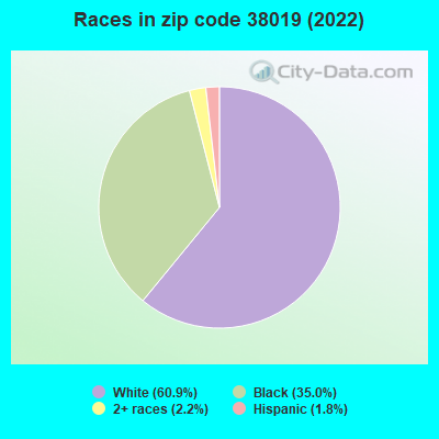 Races in zip code 38019 (2022)