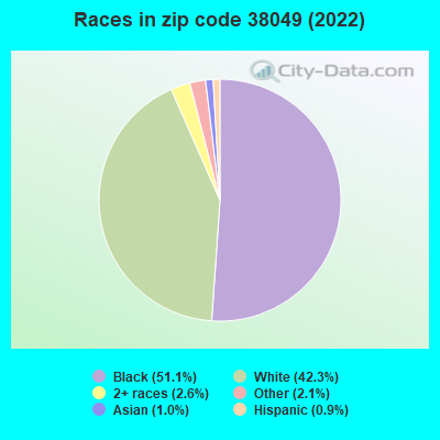 Races in zip code 38049 (2022)