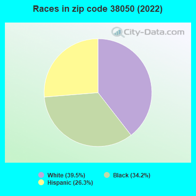 Races in zip code 38050 (2022)