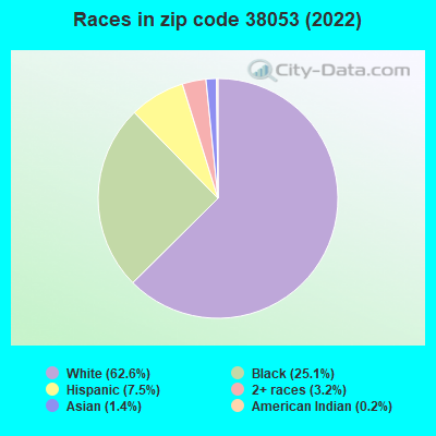 Races in zip code 38053 (2022)