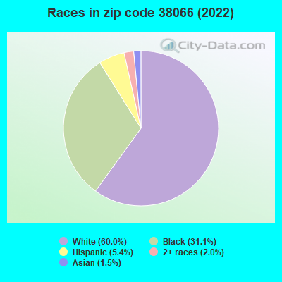 Races in zip code 38066 (2022)