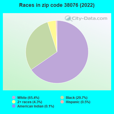 Races in zip code 38076 (2022)