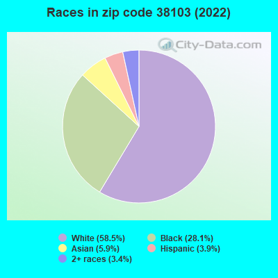 Races in zip code 38103 (2022)