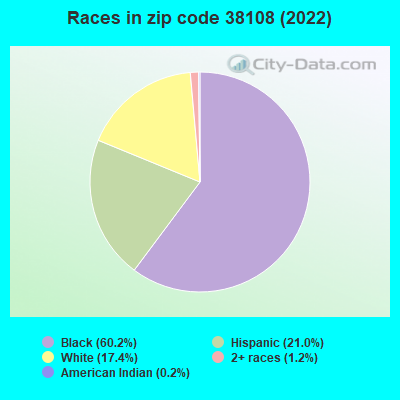 Races in zip code 38108 (2022)