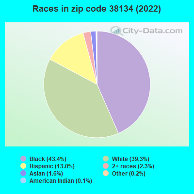 Races in zip code 38134 (2022)