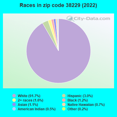 Races in zip code 38229 (2022)