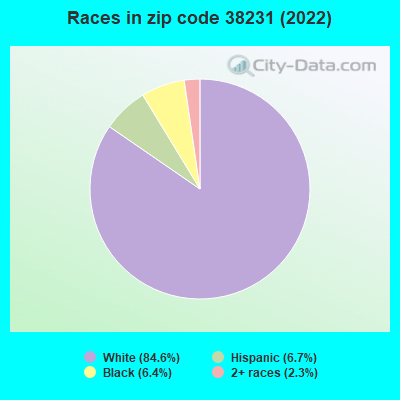 Races in zip code 38231 (2022)