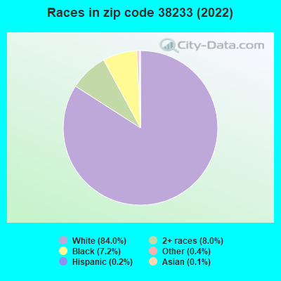 Races in zip code 38233 (2022)