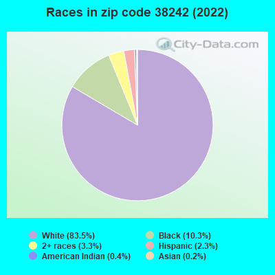 Races in zip code 38242 (2022)