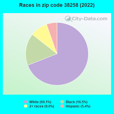 Races in zip code 38258 (2022)