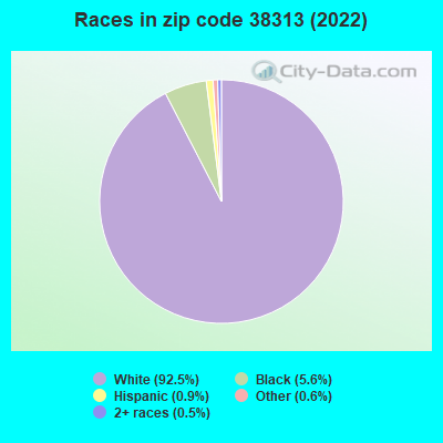 Races in zip code 38313 (2022)