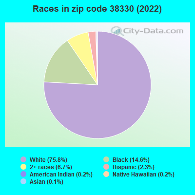 Races in zip code 38330 (2022)