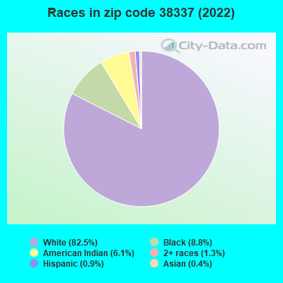 Races in zip code 38337 (2022)